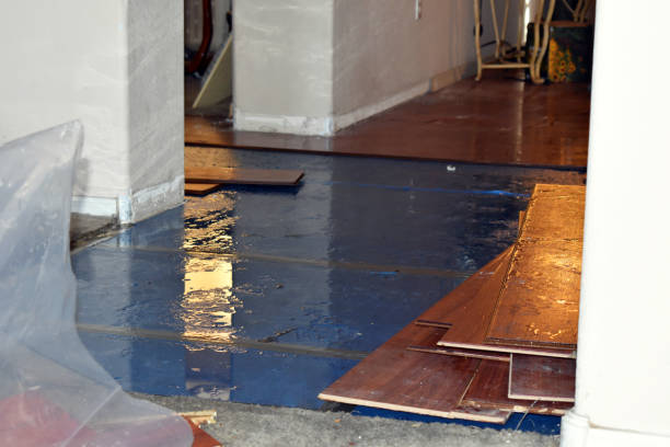 Professional Burst Pipe Cleanup technician working in Pittsburg, NH